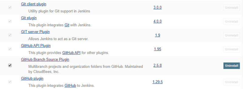 Jenkins GitHub Branch Source Plugin