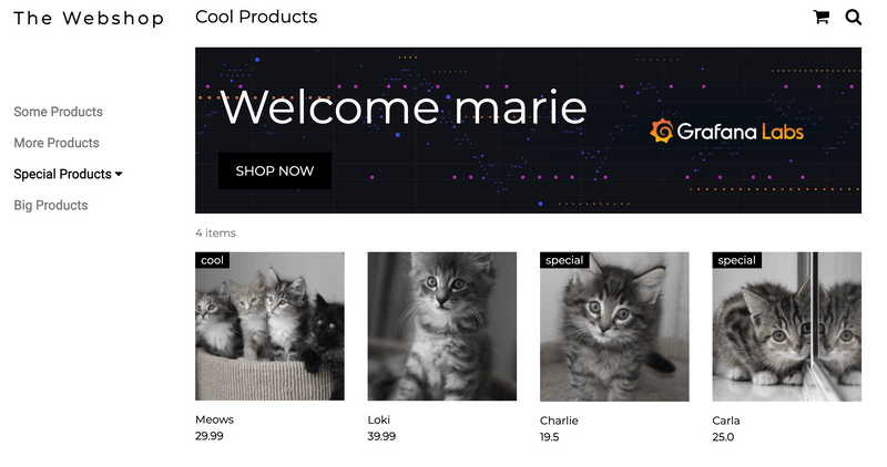 A screenshot of the Webshop application, containing various cute kittens as special products.
