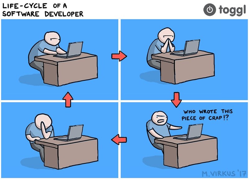 Software developer life cycle